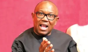 Nigeria Belongs To You, Take It Back, Peter Obi Urges Youths