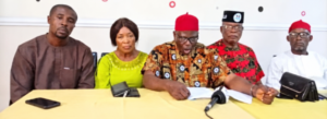 APM South-East Chairmen Reject Appointment of Zonal, State Coordinators for Makinde-Daura Campaign Council